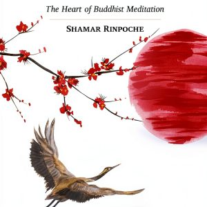 Buddhist Rituals Kindle Store Rabsel Publications-0
